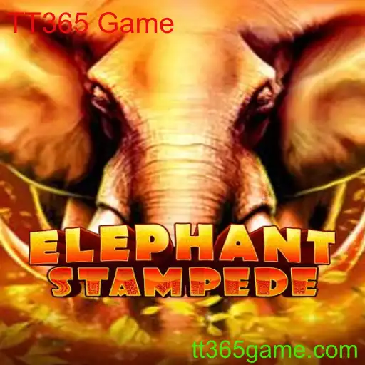 Explore o Mundo de Aventura com ElephantStampede: Um Jogo Emocionante da TT365 Game